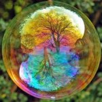 bolla con alberi